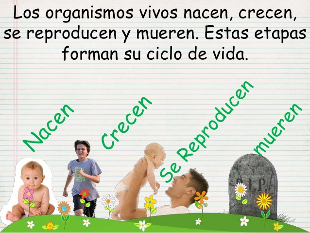 organismos vivos