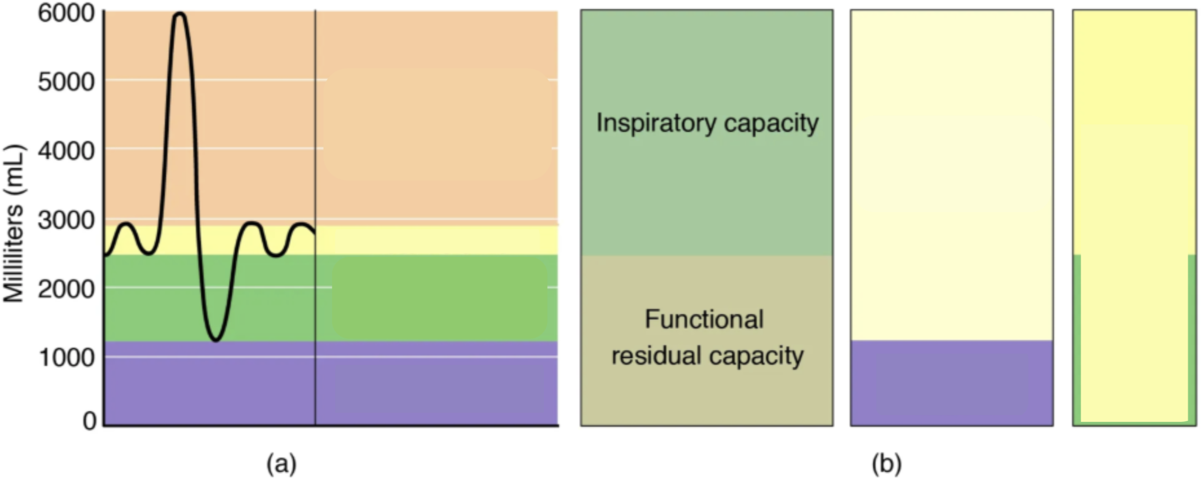 Map Quiz: Spirometry