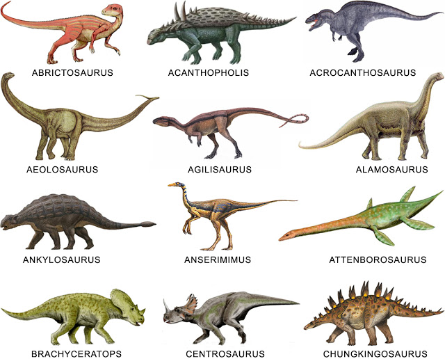 Print Map Quiz Dinosaurios Ingles Vocabulario Partes Del Cuerpo 4º Educacion Primaria 6 6 Descripciones