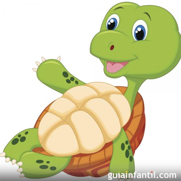 ¿Cuál es el nombre de la tortuga? 
