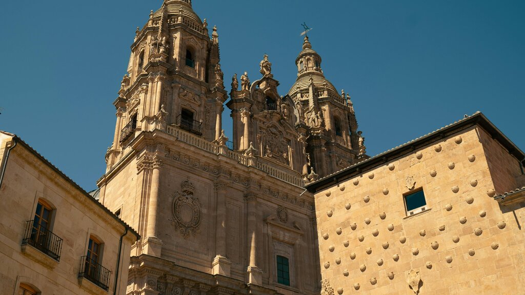 (Vosotras)  ____ españolas, de Salamanca.
