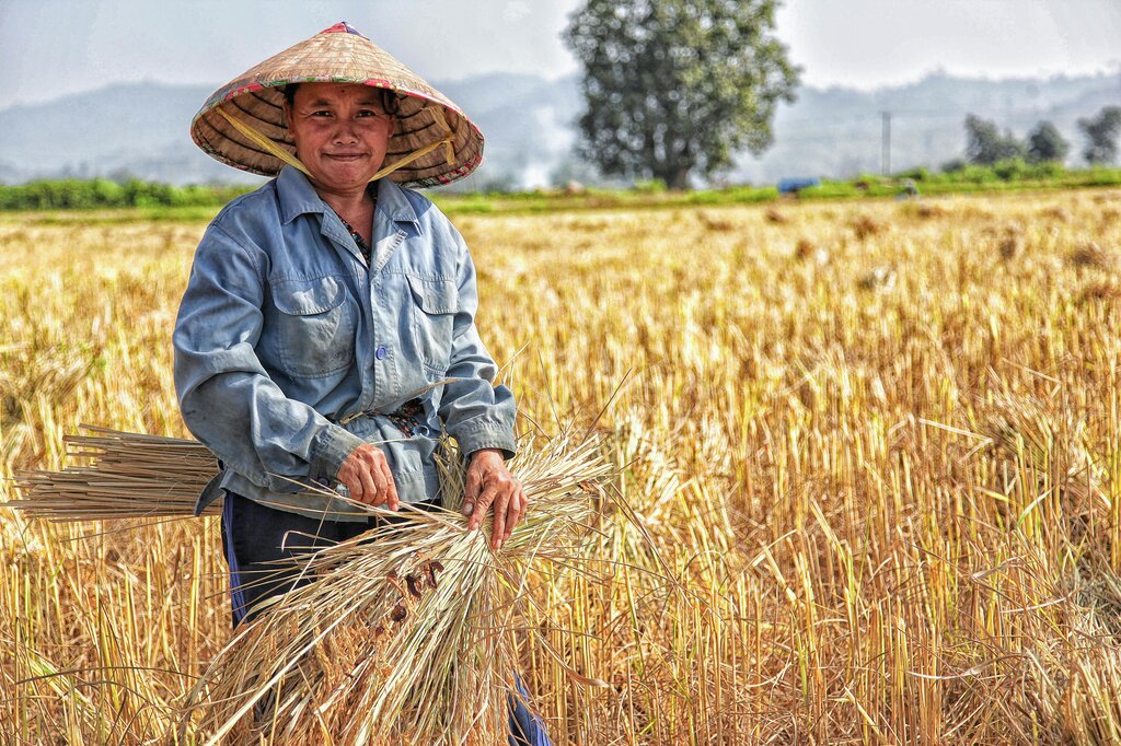 Agricultor