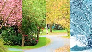 Riddle: Adivinha qual o livro. (1º ciclo: 1º ano - language - educação ...