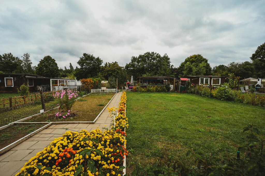 Matching Pairs: تحليل الكلمات (language)