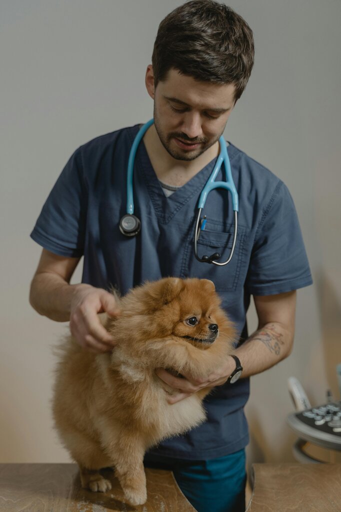 Un veterinario / una veterinaria trabaja...