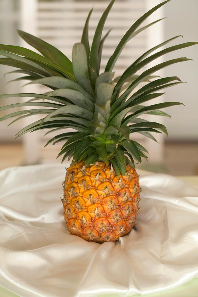 Memory: Frutas: Memoria de Sabores