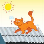 Idioms with roof. Like a Cat on a hot tin Roof идиома. Like a Cat on hot Bricks. Английский фразеологизм like a Cat on hot Bricks. Like a Cat on a hot tin Roof.