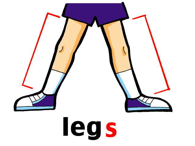 Are your legs long. Нога карточка для детей. Leg рисунок. Нога мультяшная. Нога на английском для детей.