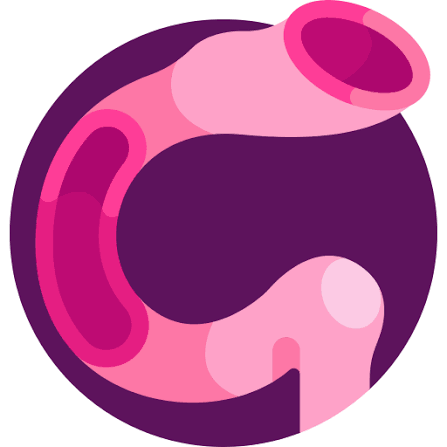 The first part of the small intestine, where digestive juices are mixed.