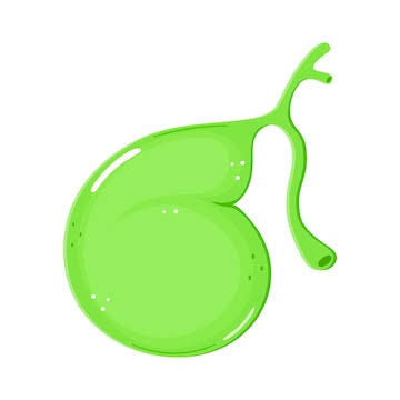 A fluid produced by the liver and stored in the gallbladder that emulsifies fats.