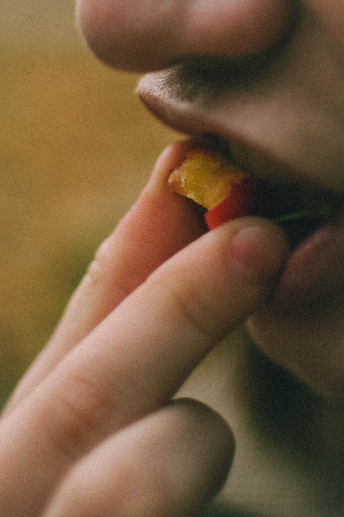 The mouth absorbs most of the nutrients.