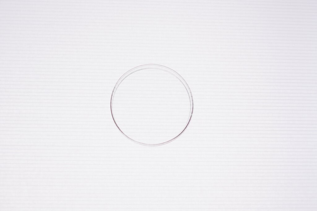 circle