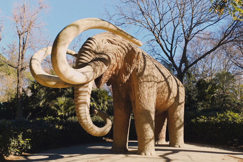 Mamut