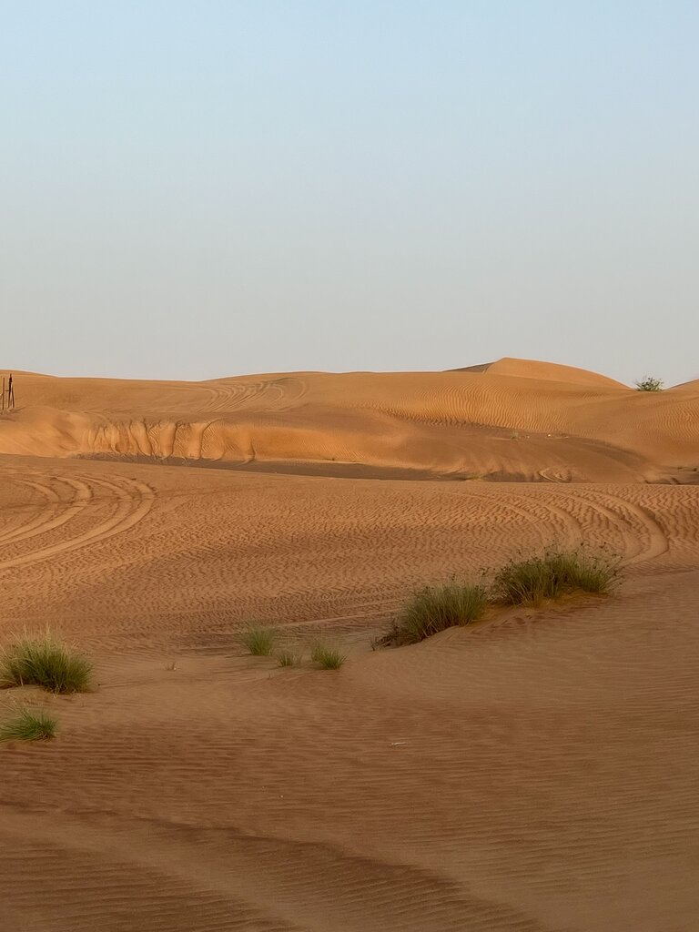 Desierto