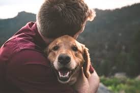 Loyal — Definition: Faithful and devoted to someone or something. Which character fits this trait?