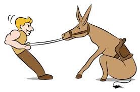 Stubborn — Definition: Unwilling to change one’s mind or course of action. Which character fits this trait?