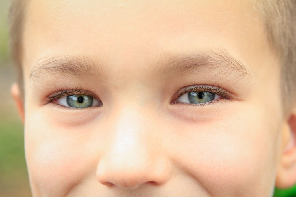 Eyes