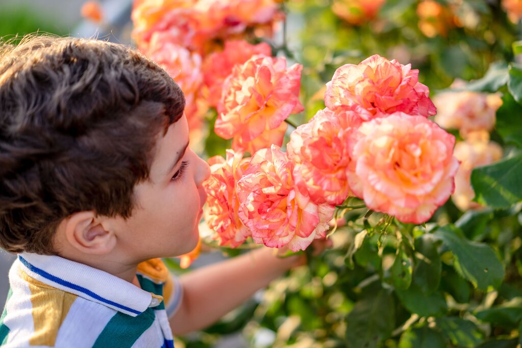 Which sense do we use to smell flowers?