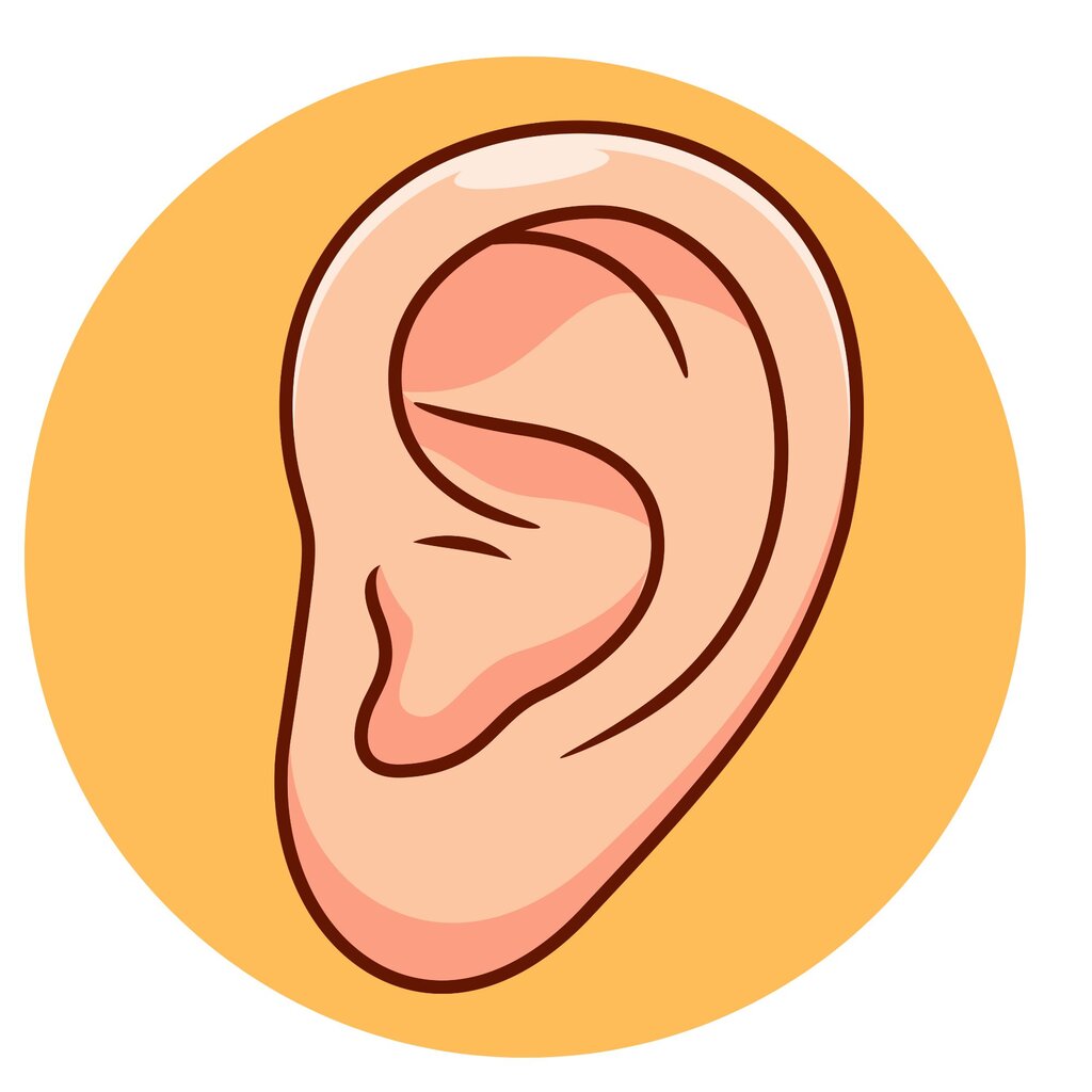 Ears