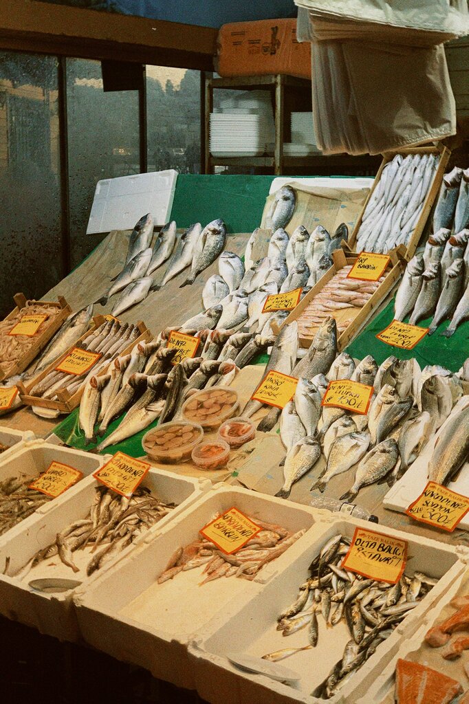 Fish selling
