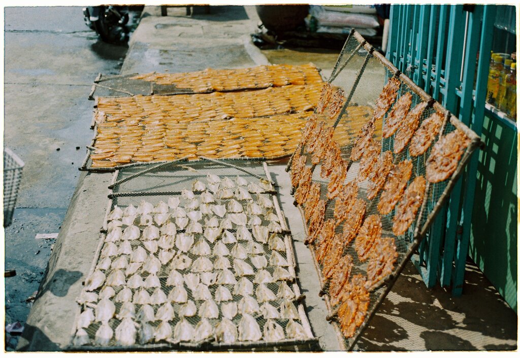  fish drying