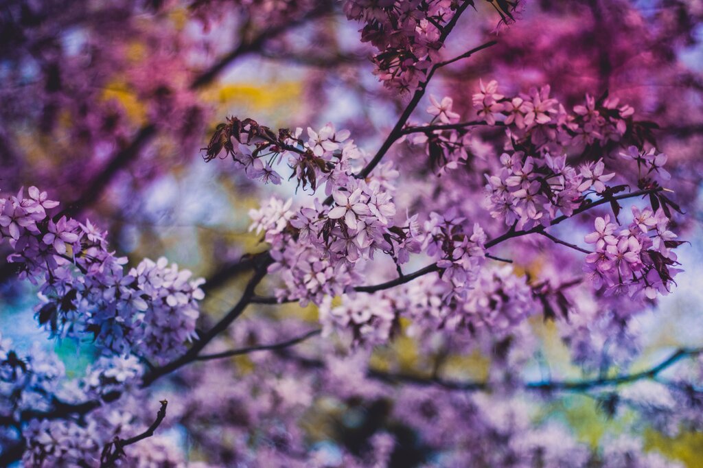 March