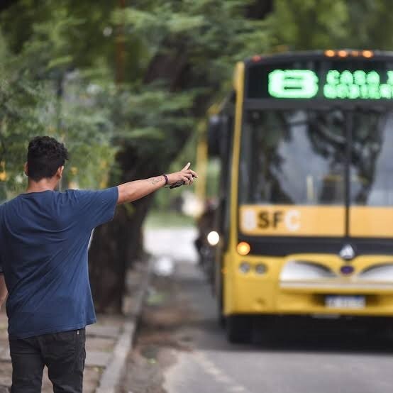 ...el colectivo