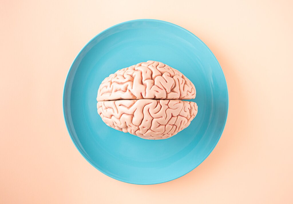 El cerebro