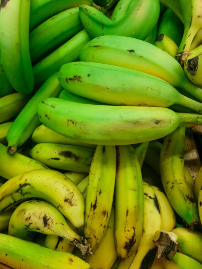 Pisang yang belum matang berubah menjadi matang dan lebih manis adalah contoh dari ....