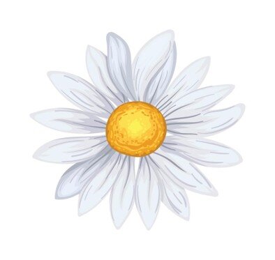 Daisy
