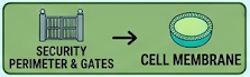 security gates - cell membrane
