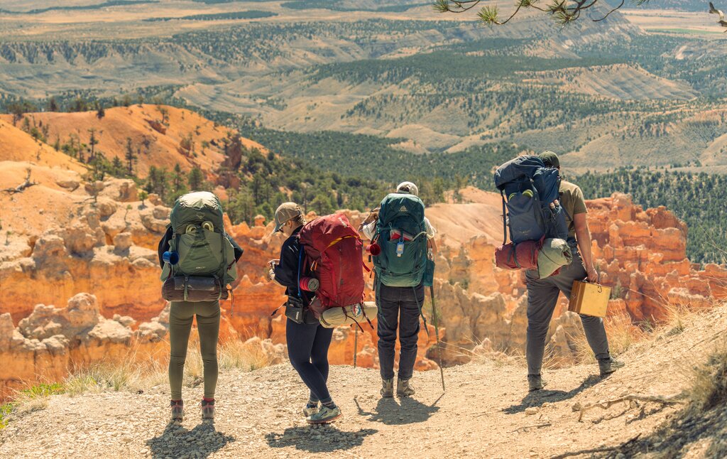 They _____ backpacks.