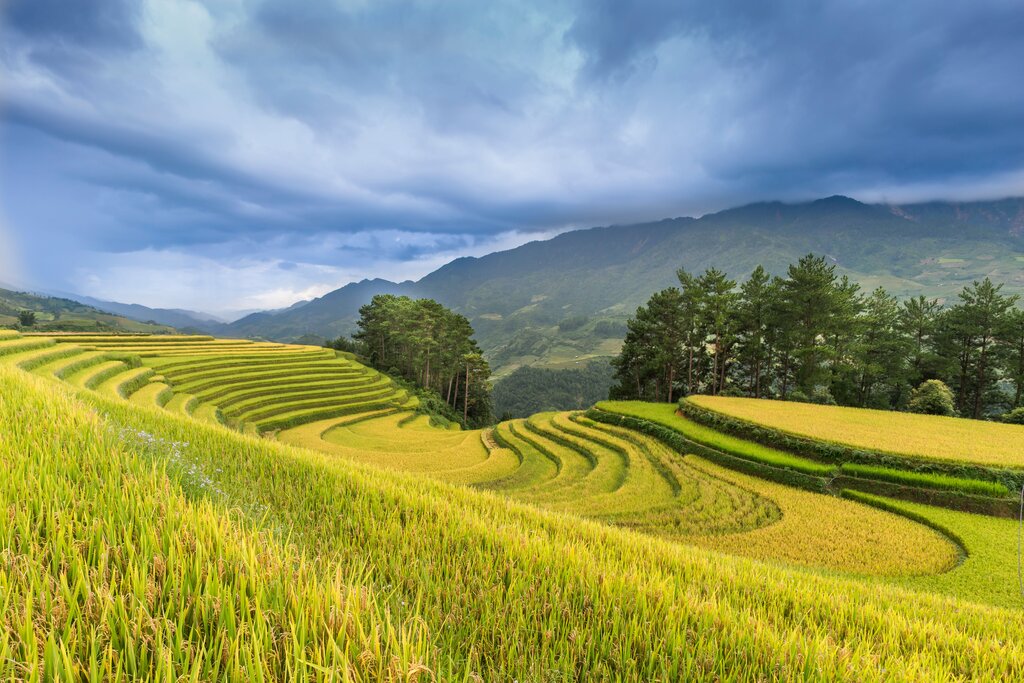 จังหวัดใดเป็นจังหวัดท่องเที่ยวทางวัฒนธรรมและธรรมชาติที่ขึ้นชื่อในภาคเหนือ?