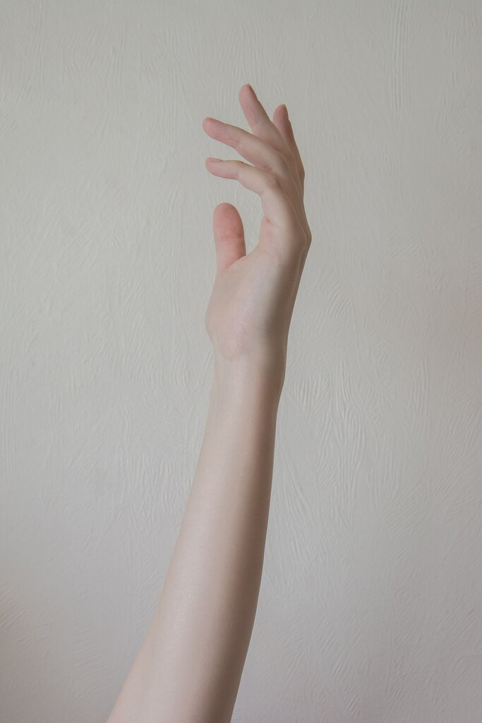 what is in the picture?