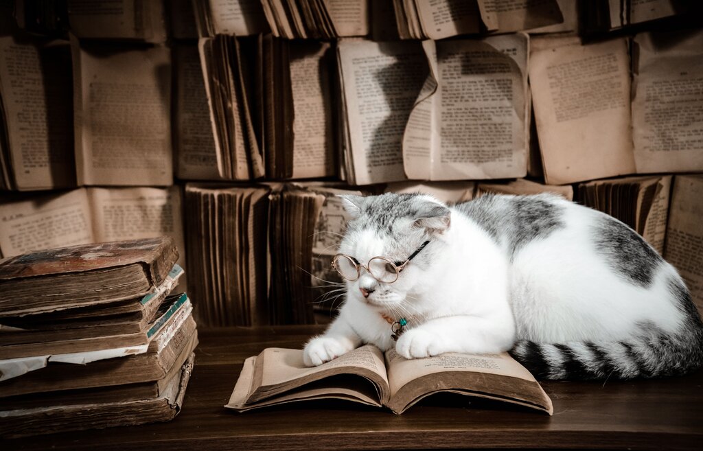 ¿Qué actitud muestra Sabelotodo al usar la enciclopedia?