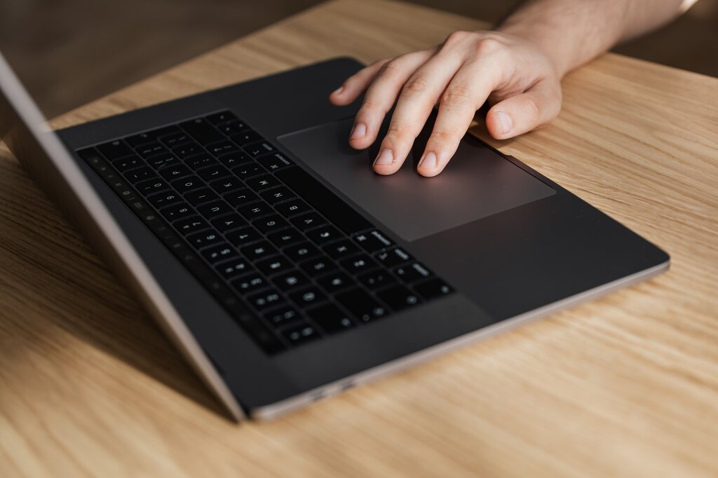 ¿El mouse o touchpad es hardware?
