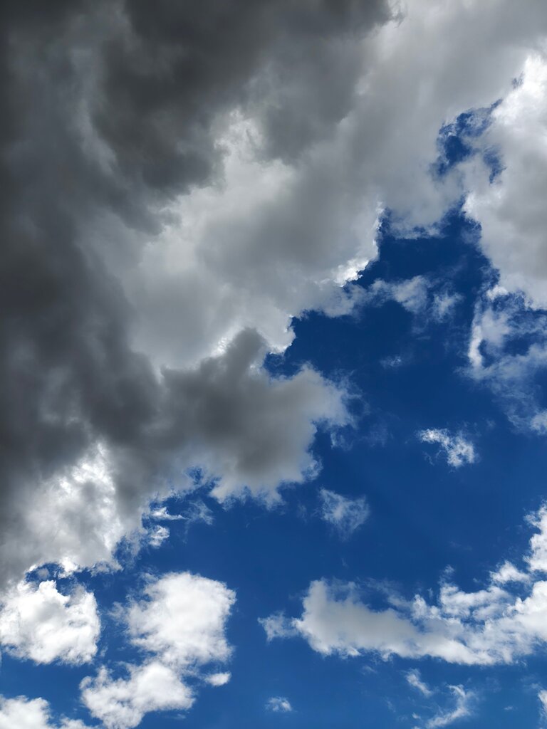 When the bell rang, Mateo looked outside. Dark clouds covered the sky. He opened his backpack, checked it twice, and frowned. His friend offered him a jacket, but Mateo shook his head and said, “I thought I packed mine"