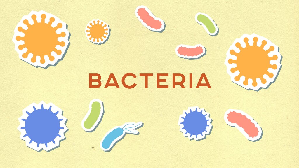 Una bacteria.