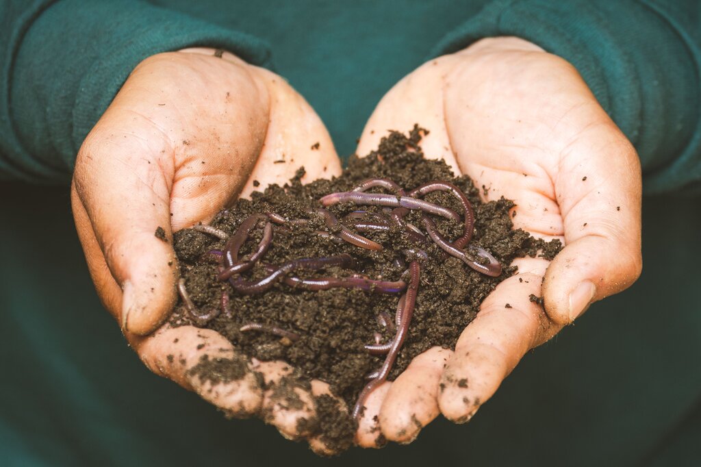 EARTHWORM