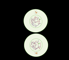 2.