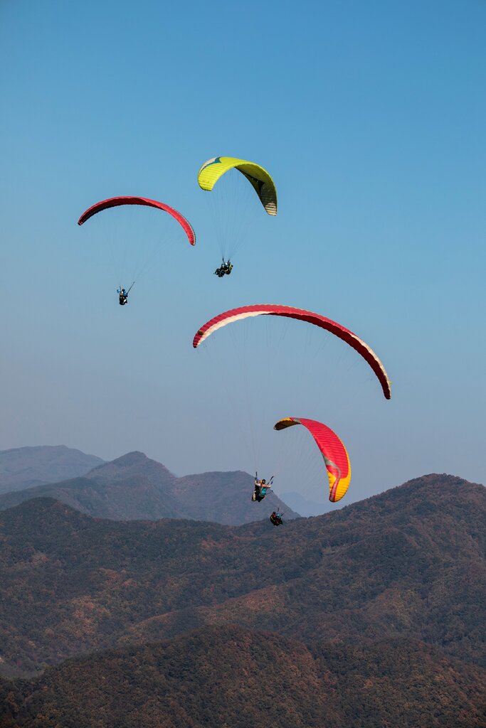What this sport is ?