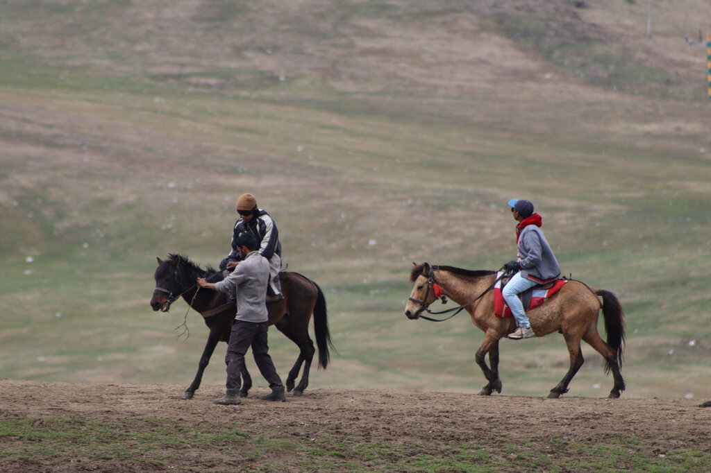 What this sport is ?