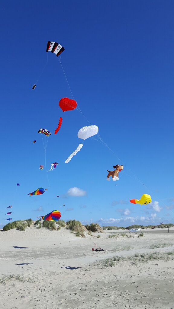 The children are excited about __________ kites at the beach.