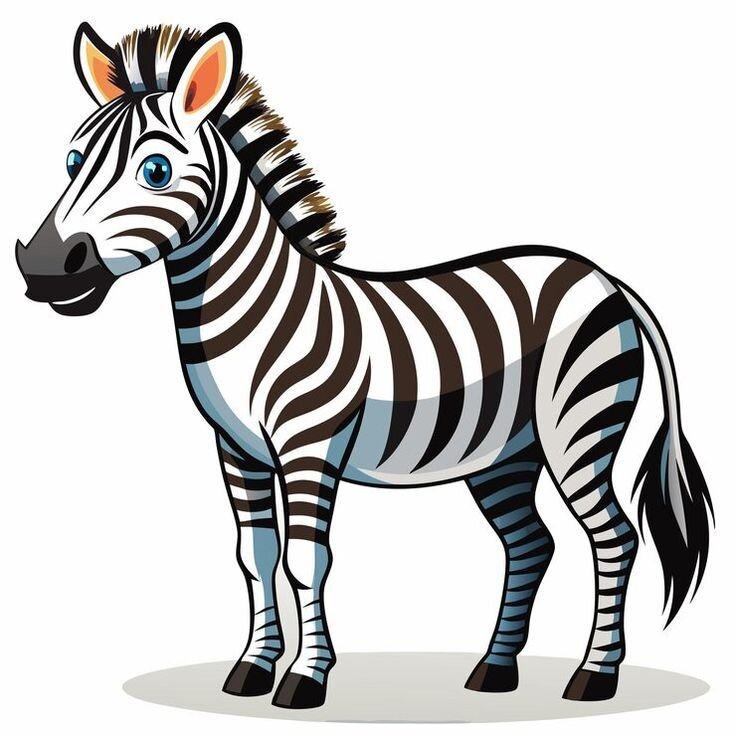 Zebra