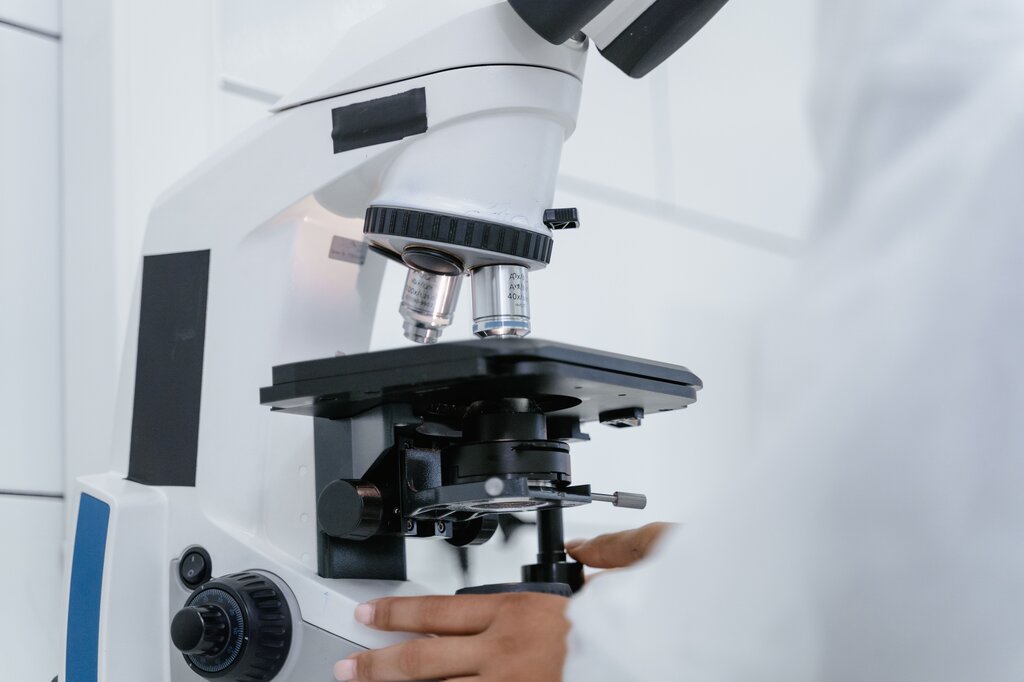 ciencia. ¿Qué clase de sustantivo es ciencia?