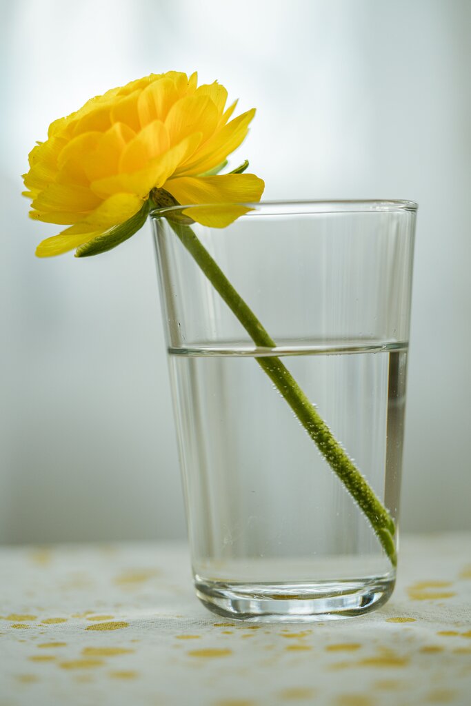 vaso. ¿Qué clase de sustantivo es vaso?