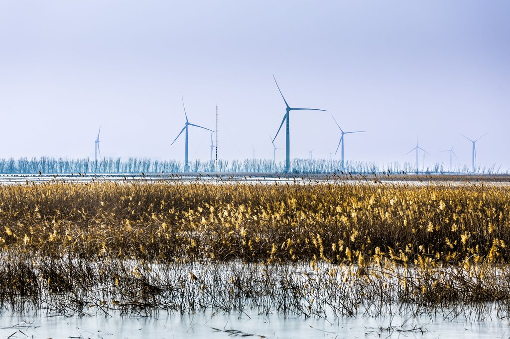 Agua, viento y tierra