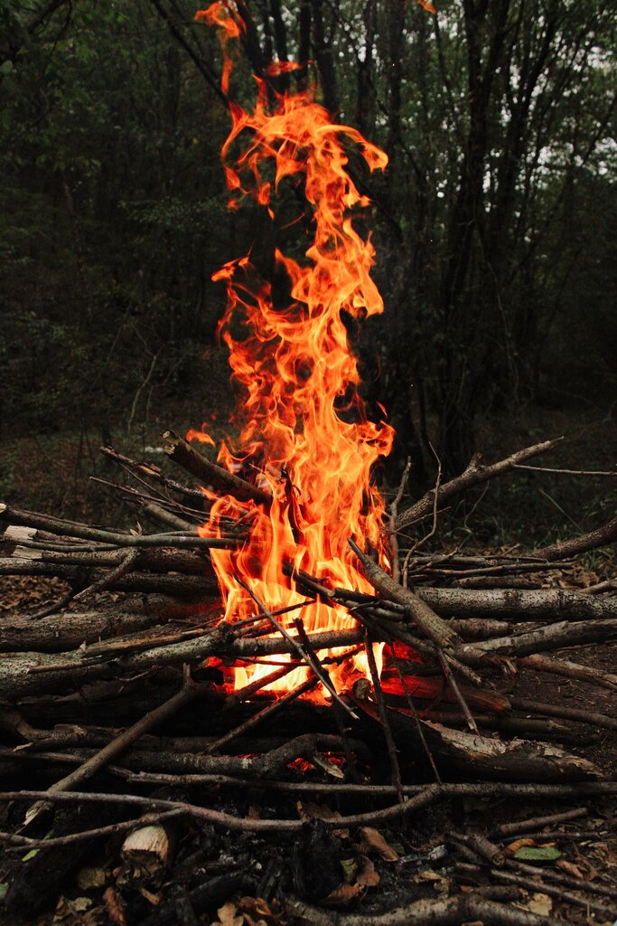 ¿Qué tipo de energía produce el fuego de una fogata?
