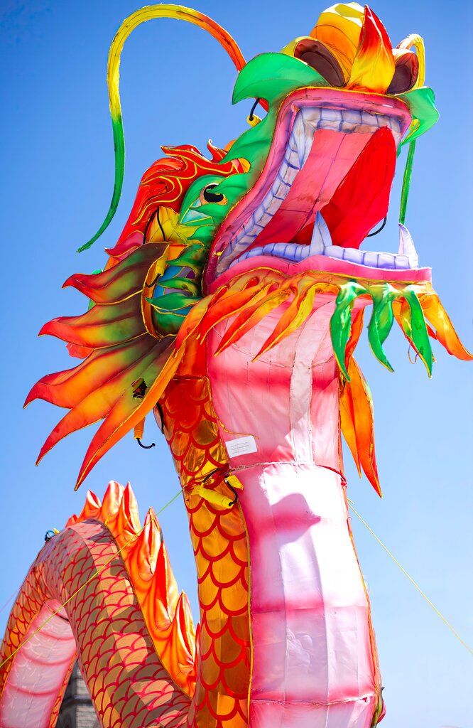 der Drache