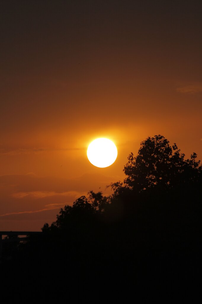 die Sonne